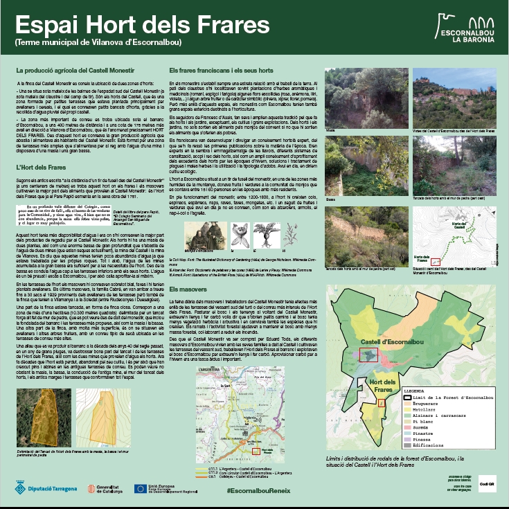 Plafó Horts dels Frares