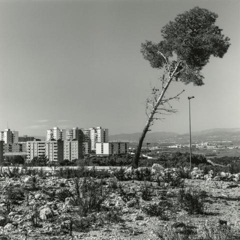 Sant Pere i Sant Pau