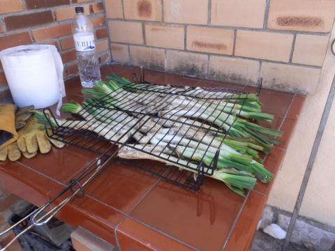 Mengem calçots