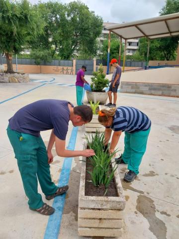 Projecte torretes