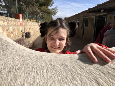 El primer torn d'equinoteràpia s'acomiada dels cavalls