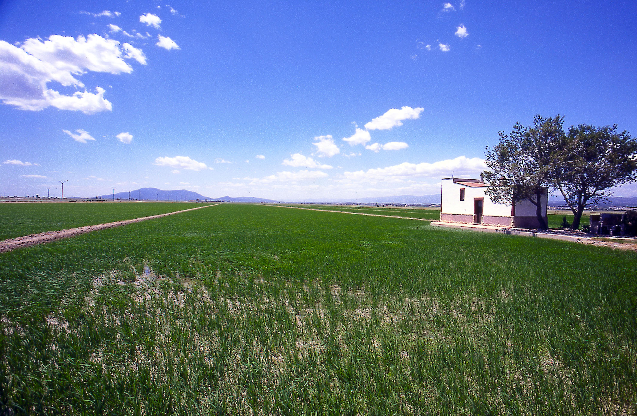 Les Terres de l'Ebre reconegudes per cinquè any consecutiu com una de les 100 millors destinacions sostenibles del món