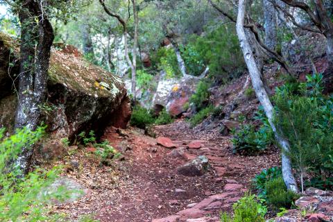 Nous itineraris guiats permeten la descoberta de l'entorn natural del Castell Monestir d'Escornalbou