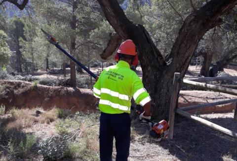 Finalitza el Pla d'Ocupació del Baix Ebre, que ha impulsat millores a la Via Verda