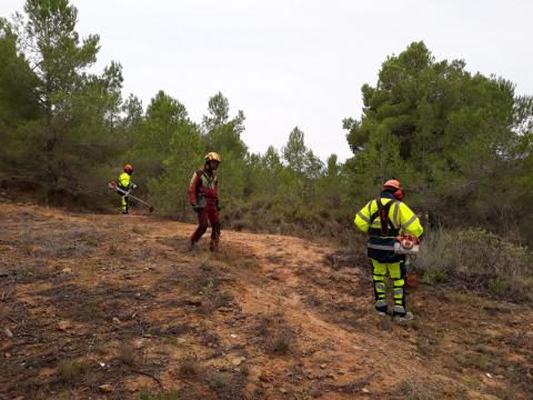 Imatge dels Plans d'Ocupació Comarcals 2022