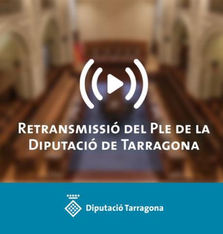 Ple de la Diputació de Tarragona