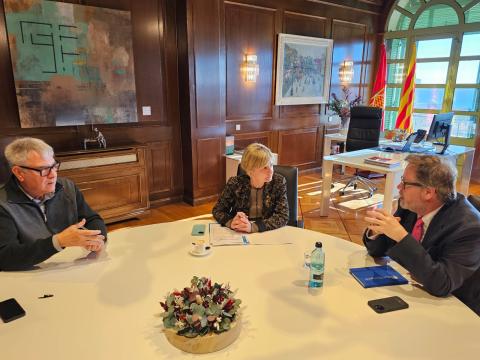 Moment de la reunió aquest dijous a la Diputació de Tarragona