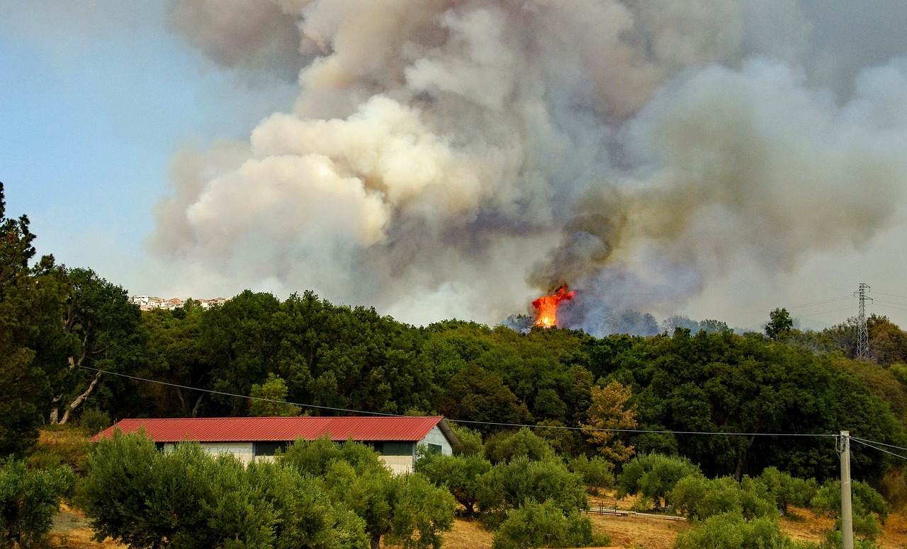 Les agrupacions de defensa forestal ja poden sol·licitar els ajuts  de la Diputació per a actuacions de prevenció d’incendis